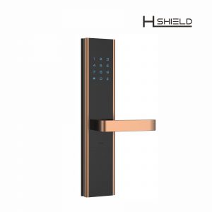 password locks