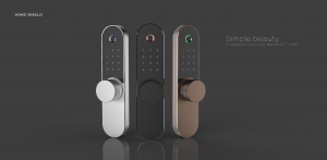 B2B Smart Door Lock